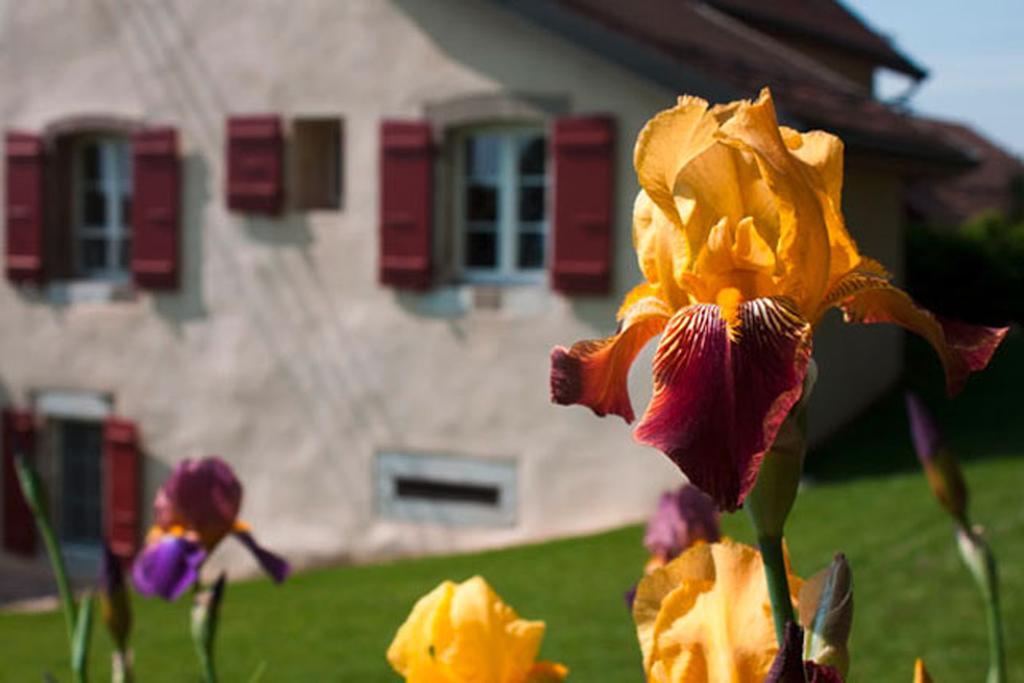 La Belle Saison Mollens (Vaud) Exterior foto