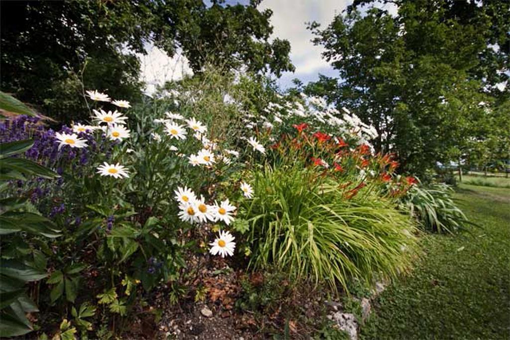 La Belle Saison Mollens (Vaud) Exterior foto